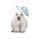 lowgyn_
