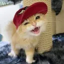 cxxndyy