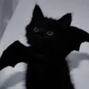 cxxndyy