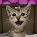 thepzzho