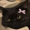 113405