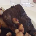 piefive_