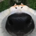 qwert_1895