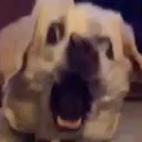 notfuriouss