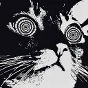 the_real_quantum