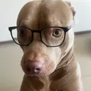 nathhcat