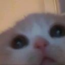 riftydifty's profile picture