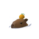 o7o7