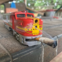 avatar swedishturtles