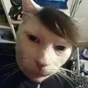 rayybro