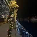 avatar user126050709