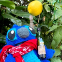 avatar NapoConFritas