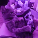 jaay_777