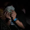 kingxskipp