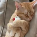 .catto.