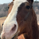 avatar ᚨᚠᚹᚢᛟᛟ ☦