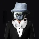 fedorablepug
