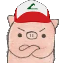 picuyo
