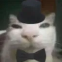 piiecat