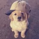 temptywempty