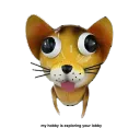 mr.timer