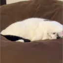 fhrdbl