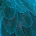 everstellar