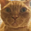 Glebux's avatar