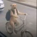 thatdudekondd