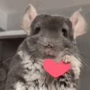 avatar B𝐞𝐭𝐮𝐥𝐳𝐢𝐧