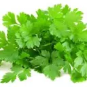 Аватар koronotoco