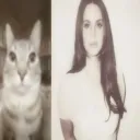 brningdsire