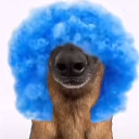 avatar lirili larila