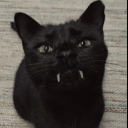 avatar hitmyheadrealhard