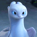 avatar koda