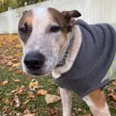 binkywinkles
