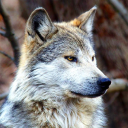 methodic1000#8866's avatar