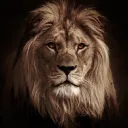 imsajjad