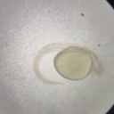 avatar 🤟🏻🤓🤟🏻