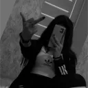 cedrus23