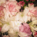 avatar ᴀᴍɪɴᴀ