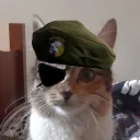shortimbecile avatar