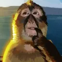 riogrango
