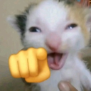 avatar Mery 𓆩♡𓆪