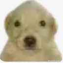 avatar Mery 𓆩♡𓆪