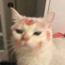 avatar Mery 𓆩♡𓆪