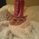 capableidiot