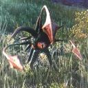 yintheturkey
