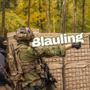 avatar blauling