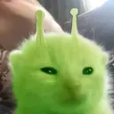 sitchui